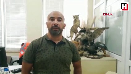 Kara leylekler, 25 yıl sonra Salda Gölü'nde