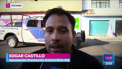 Rescatan a perritos en Neza; su dueño presuntamente vendía su carne a taquerías
