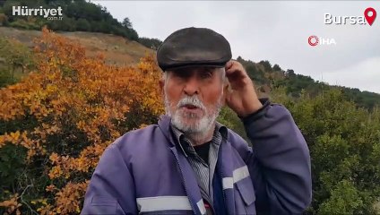 Koronavirüsü fırsat bilen uyanıklar, devlet arazilerine kondu