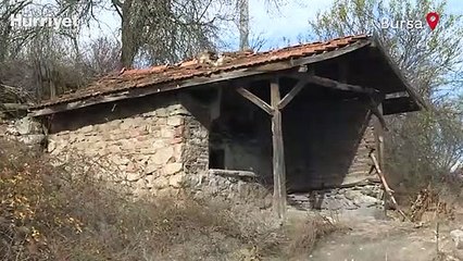 Salgın öncesi 4 kişinin yaşadığı dağ köyünün nüfusu 10 katına çıktı