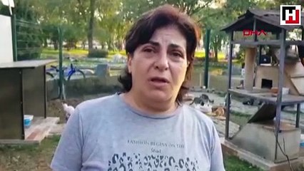 Bursa'da temizlik işçileri, yakılarak telef edilen kedi buldu