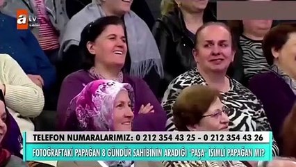 Müge Anlı canlı yayında kaybolan papağanı buldu