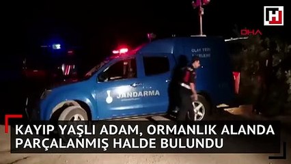 Kayıp yaşlı adam, yabani hayvanlar tarafından parçalanmış halde bulundu