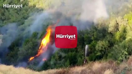 Son dakika haberi: Bursa'da orman yangını