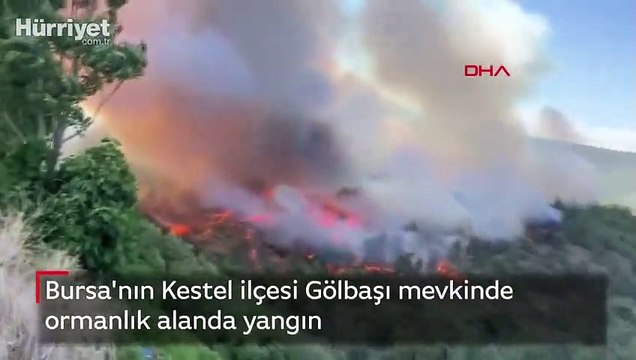 Bursa'nın Kestel ilçesi Gölbaşı mevkinde ormanlık alanda yangın