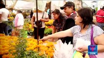 Flor de cempasúchil, el color que da vida a la muerte en México