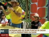 Sucre | Realizan la entrega de 10 mil plantas de cacao y café a productores agrícolas
