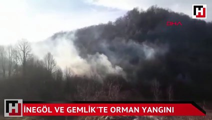 Bursa'da yarım saat arayla 2 orman yangını