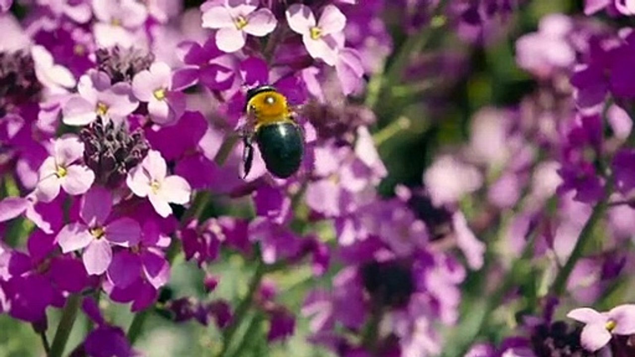 Neue Jugendinitiative für Biodiversität und Klimaschutz