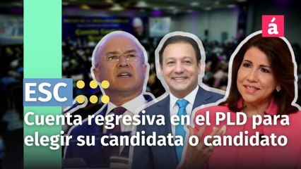 Cuenta regresiva para que el PLD decida quién será su candidata o candidato presidencial