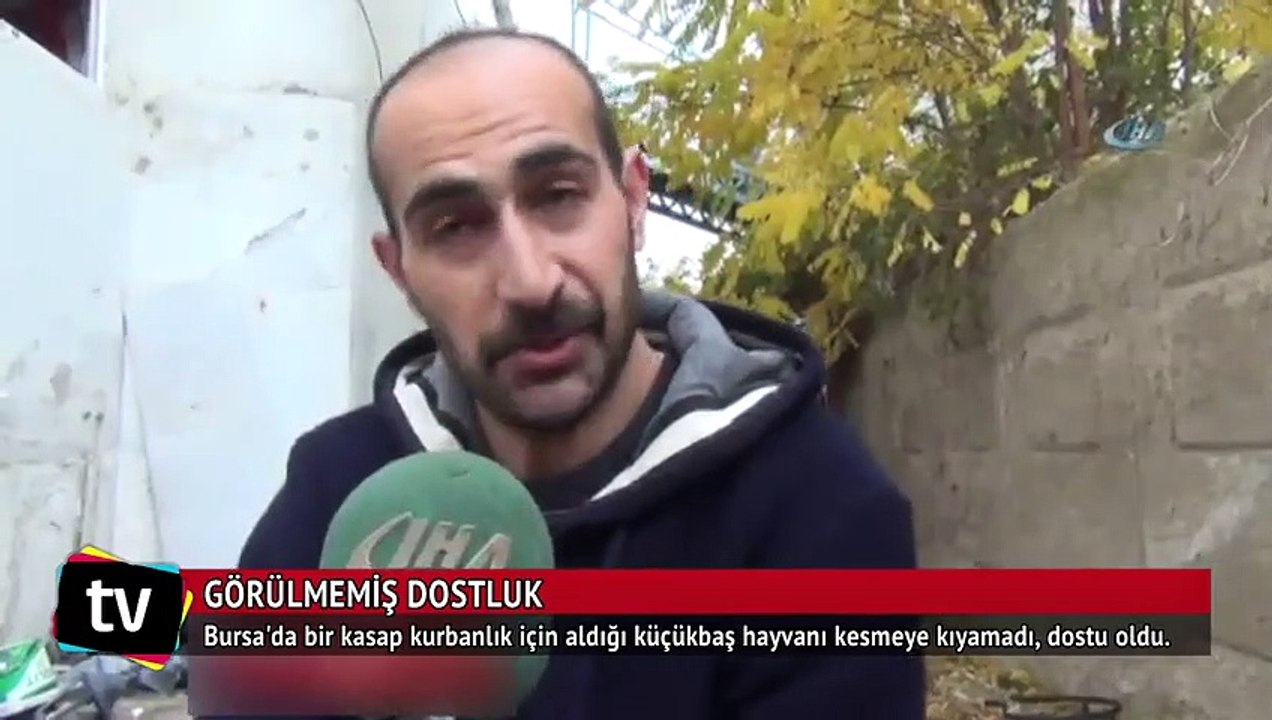 Görülmemiş dostluk