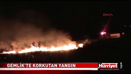 GEMLİK'TE KORKUTAN YANGIN