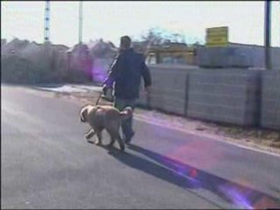 Efendi   walk