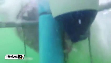 Canavar ile yüz yüze