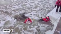 Buz tutan suda köpek kurtarma operasyonu