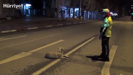 Polis memuruyla köpeğin gülümseten görüntüleri