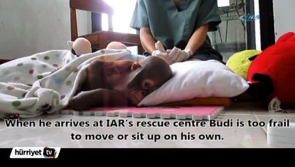 Doktorlar onu kurtarmak için seferber oldu