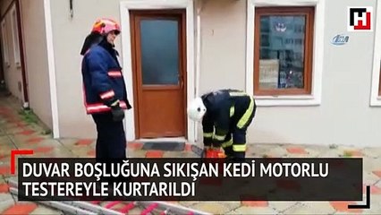 Duvar boşluğuna sıkışan kedi motorlu testereyle kurtarıldı