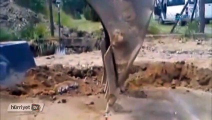 Gerçek yetenek budur!