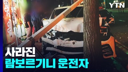 가로수 들이받은 람보르기니...사라진 운전자 / YTN
