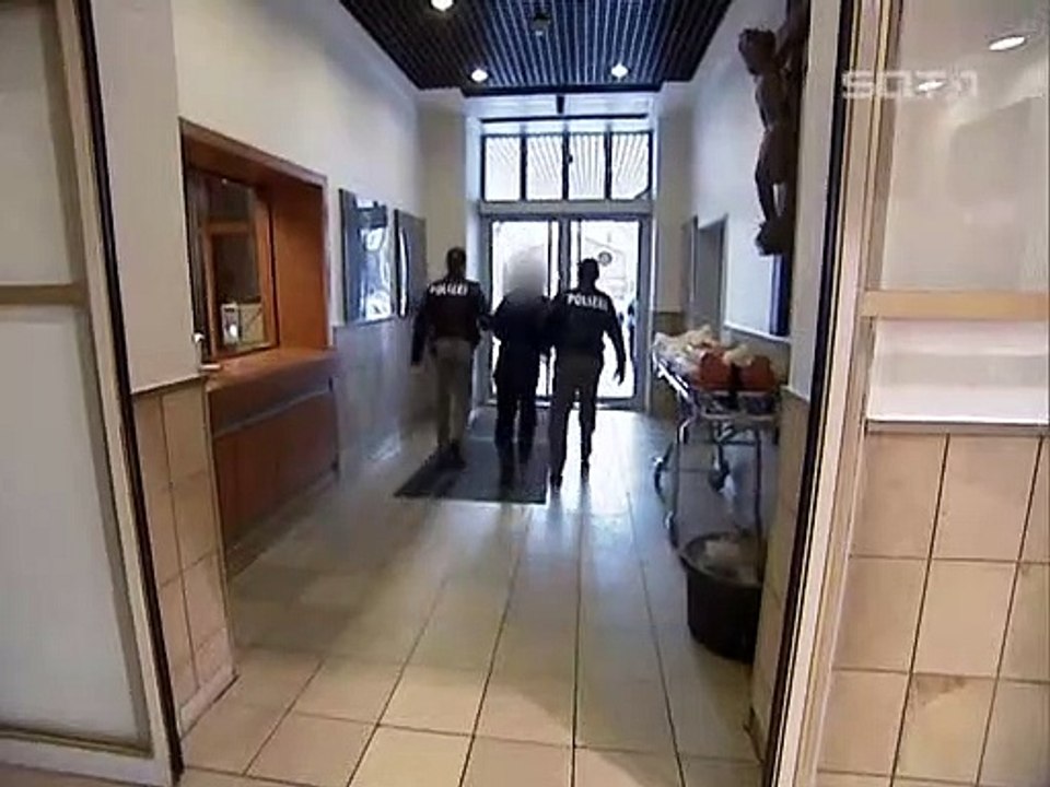 Toto & Harry Staffel 1 Folge 5 HD Deutsch