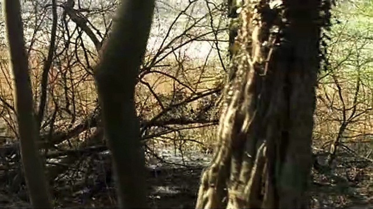 GSG 9 - Ihr Einsatz ist ihr Leben Staffel 1 Folge 9 HD Deutsch