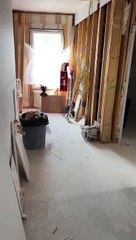 Rescuing a Pidgeon From Inside Wall at Construction Site