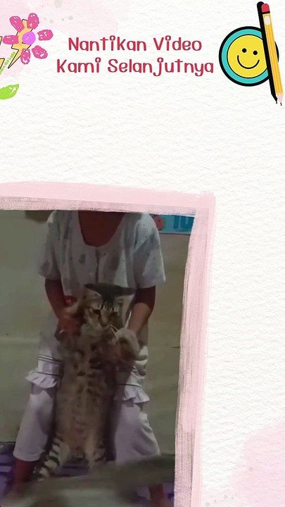 Nantikan Video Kami Selanjutnya