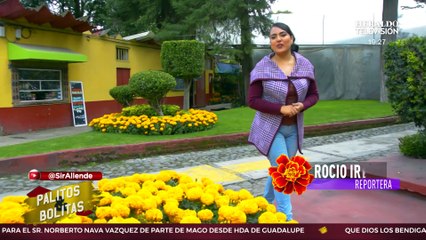 Palitos y Bolitas con Carlos Allende | 14 de octubre de 2022 | Heraldo Media Group