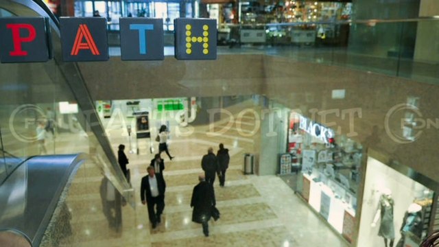 Did You Know? The Path System || FACTS || TRIVIA