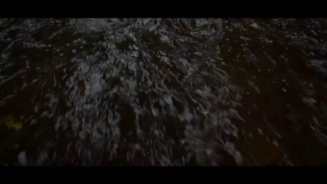 (No Copyright) Cinematic Background Music - Into The Nature Vol. 01