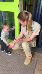 Little Girl Uses Cuteness to Break Back into the Zoo