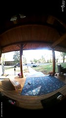 Billy Goat Can't Quite Keep Up