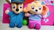 Paw Patrol's Skye and Chase's fun day at the Playground and No Bullying at School Baby Pups Videos