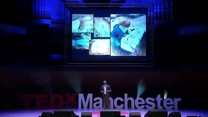 TED Talk - A Giant Jurassic Sea Dragon, Unearthed