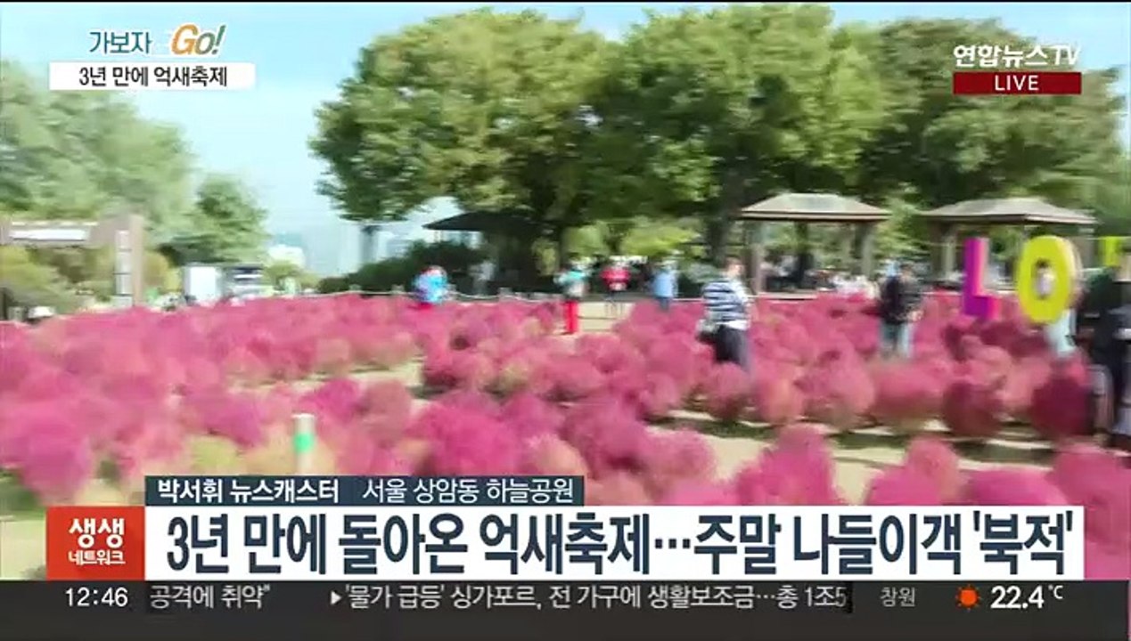 춤추는 은빛 물결…3년 만에 돌아온 억새축제
