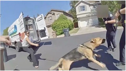 Police seize vicious German Shepherd as it attacks a California cop