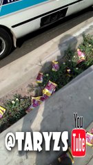 ALBUM MUNDIAL PANINI 2022