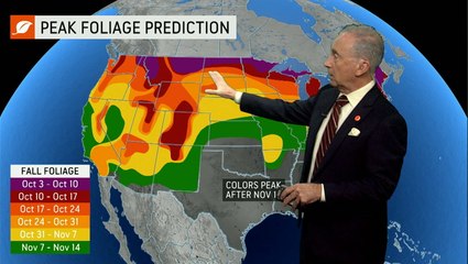 Fall Foliage Prediction