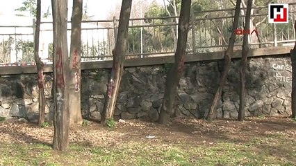 Maçka Parkı'nın bir bölümü daha bariyerlerle kapatılıyor  ağaçlar işaretleniyor