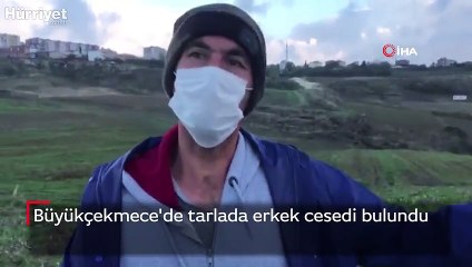 Büyükçekmece'de tarlada erkek cesedi bulundu