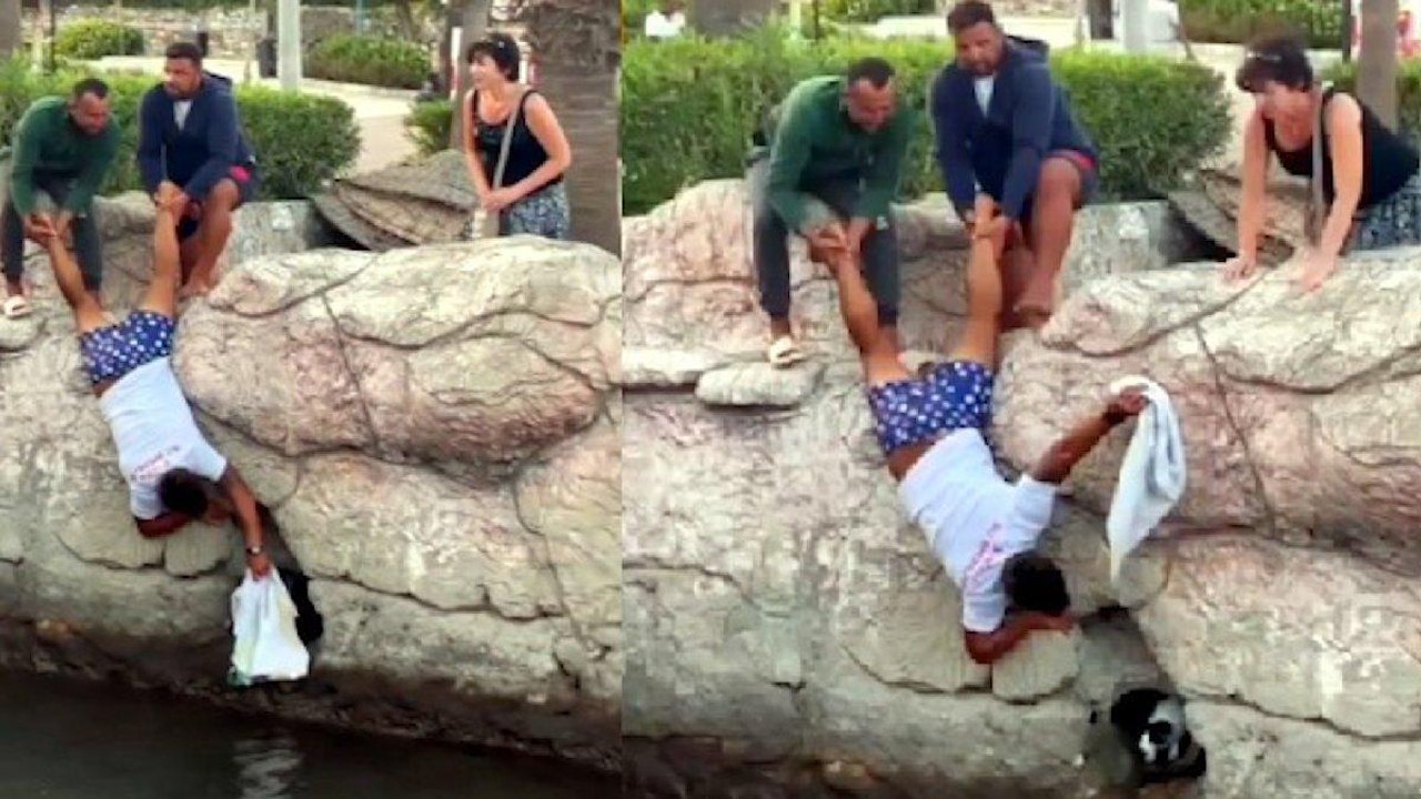 Kanaldan kedi kurtarma operasyonu