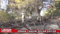 Çanakkale'deki orman yangını devam ediyor