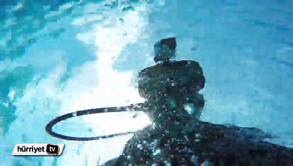 Çekiç balığıyla okyanus gezintisi