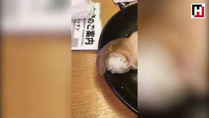 Tabaktaki suşi canlanıp hareket etmeye başlayınca...