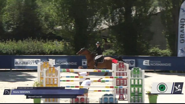 Grand National FFE - AC Print - CSO | Notre Dame d'Estrees (FRA) | Marie DEMONTE | MAXWELL VAN HD