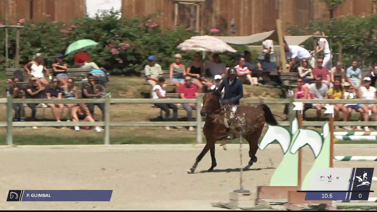 Grand National FFE - AC Print - CSO  | Villers Vicomte (FRA) | Patrick GUIMBAL | MISTRAL D