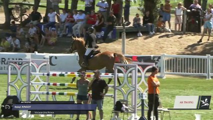 Grand National FFE - AC Print - CSO  | Le Touquet (FRA) | Dylan RINGOT | VIVLAVIE UNE PRINCE