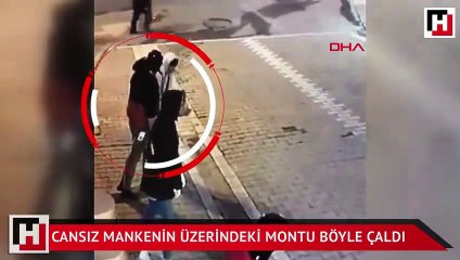 Cansız mankenin üzerindeki montu böyle çaldı