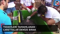 Tedavileri tamamlanan caretta carettalar denize bırakıldı